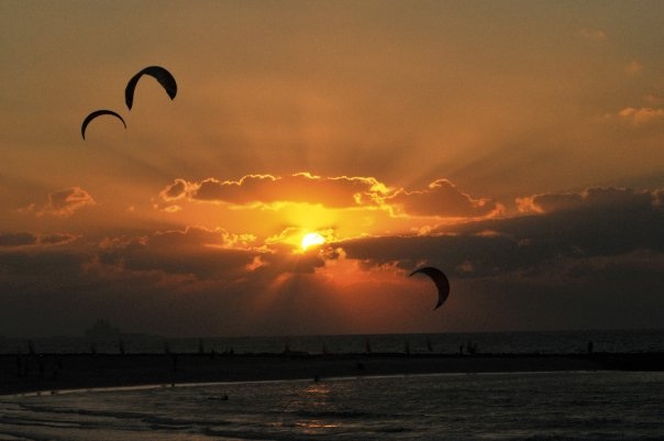 Lost in Migration proof!