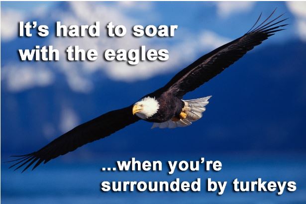 Eagles